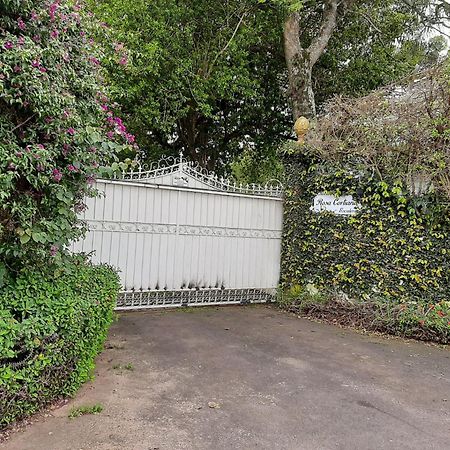 Rosa Cortiana Escalera Lejlighed São Gabriel Eksteriør billede